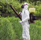 Egyéni védőfelszerelések, kémiai növényvédelmi tevékenységet folytatók részére