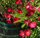 Indul a második menet