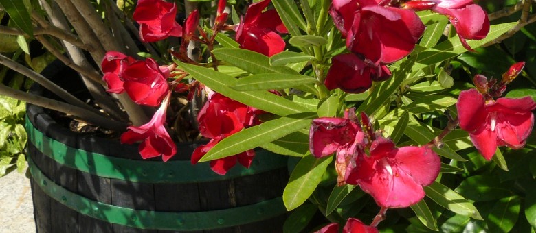 Indul a második menet