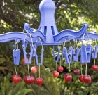 Napos gyümölcszsugorítás