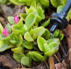 Vízből sosem elég?