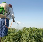 Növényvédő szer hamisításról