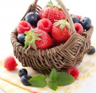 Élelmezés-egészségügyi várakozási idő