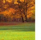 Őszi munkák a kertben