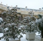 A hirtelen jött hideg ellen is védhet a fátyol