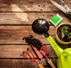 Sokféle apróság között lehet választani