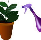 A pajzstetvek nem érdemelnek kegyelmet