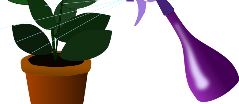 A pajzstetvek nem érdemelnek kegyelmet