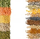 A vetés tudománya egyetlen piktogramban