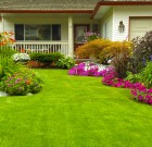 A növények, ha jól érzik magukat, hamar kinövik a nekik szánt helyet