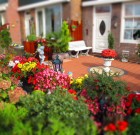 Szombaton vásárolunk, vasárnap ültetünk