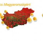 Szépülnek a virágos települések