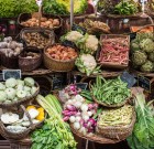 A kertekben biztatóak a terméskilátások