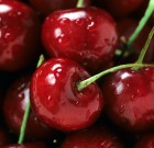 Lombfújóval az eső ellen