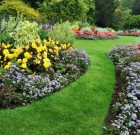 Elérkezett az utolsó gyomirtás ideje