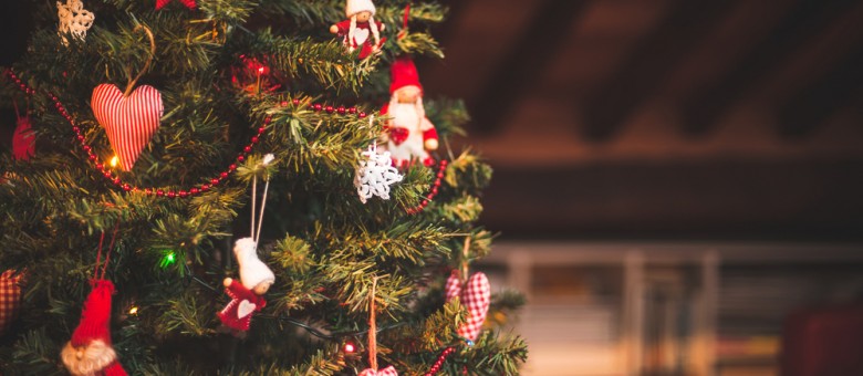 Növények karácsonya