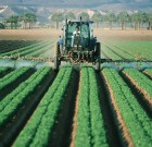 Változások a növényvédelemben