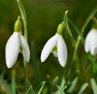 Hideg után, meleg előtt