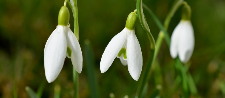 Hideg után, meleg előtt
