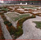 Zsigó György – Időszerű növényvédelmi teendők a közterületeken – 2016/2