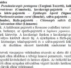 A lombhullató díszfák és díszcserjék kártevői- Ripka Géza