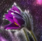 Az agyagásvány és a szapora  eső