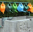 Ha a növény irányíthatná az öntézést, hajnali négykor nyitná a csapot