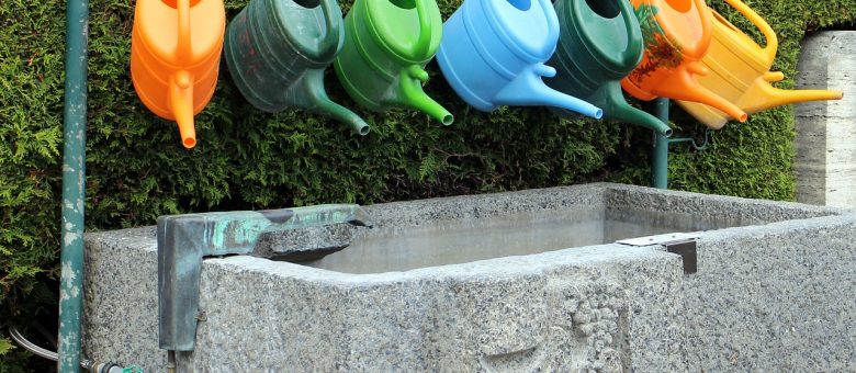 Ha a növény irányíthatná az öntézést, hajnali négykor nyitná a csapot