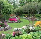 Nyár végén érdemes átalakítani a kertet