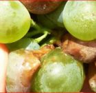 Zsigó György – Hasznos közlendők kertbarátoknak – 2016/20