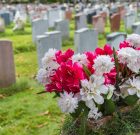 Páratlan varjúhájak