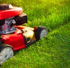 Csokoládé a gyepnek