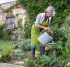 Hasznos rovarokat a kertbe