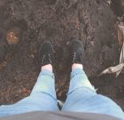 Agyag, homok, mész, humusz