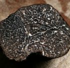 Szakácsversenyek sztárja a fekete gyémánt