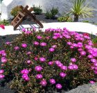 Kertszínesítés változó szereposztásban