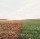 Érdemes időt szánni a talaj megismerésére