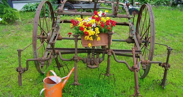 Indul a növényfrász