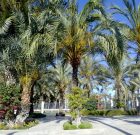 Királyi vendégek kertje