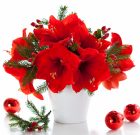 Öngyilkos virágok a vázában