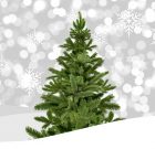 A faállítás rejtelmei