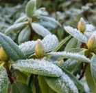 Ahol az árnyék az úr