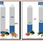 Zsigó György – Hasznos közlendők kertbarátoknak – 2018/2