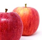 Hideg után, meleg előtt