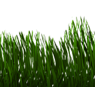 Még pihenhetnek a fűnyírók