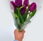 Télsirató Nőnap előtt