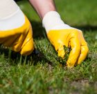 Ne legyen lyukas a gyep