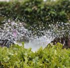 Okosan a vízzel a nagy melegben