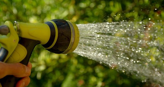 A kert nem ment nyaralni